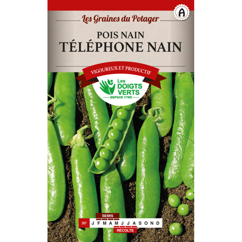 Pois Nain Telephone Nain 200g -graines de Les Doigts Verts - graines de Gironde à Bordeaux dans Graines de Pois