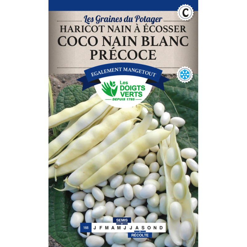 Haricot Nain Coco Blanc Precoce 220g -graines de Les Doigts Verts - graines de Gironde à Bordeaux dans Graines de Haricot