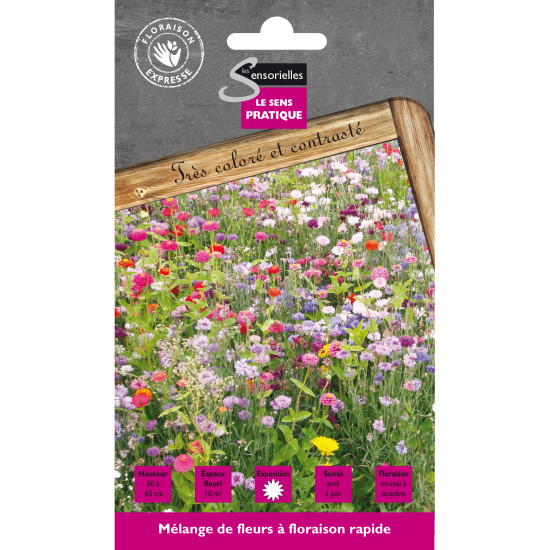Floraison Rapide 20G -graines de Les Doigts Verts - graines de Gironde à Bordeaux dans Graines de Jachere fleurie