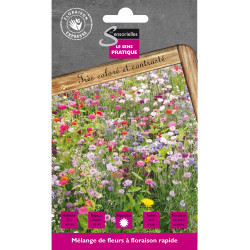 Floraison Rapide 20G -graines de Les Doigts Verts - graines de Gironde à Bordeaux dans Graines de Jachere fleurie