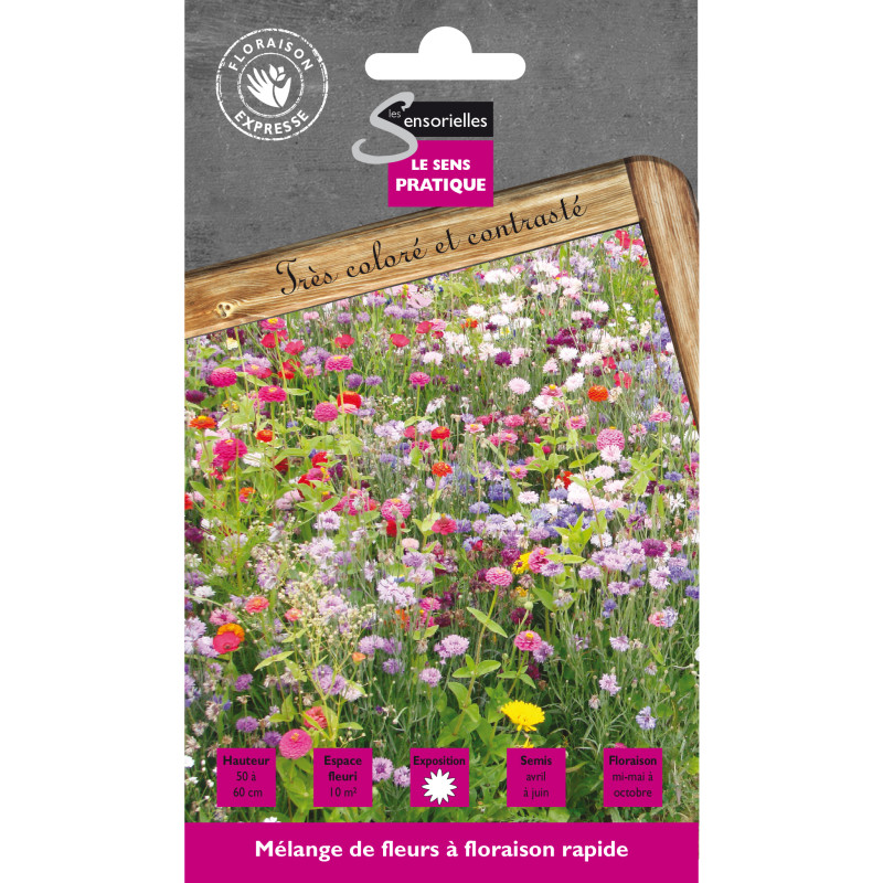Floraison Rapide 20G -graines de Les Doigts Verts - graines de Gironde à Bordeaux dans Graines de Jachere fleurie
