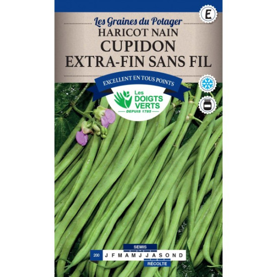 Haricot Nain Cupidon 150g -graines de Les Doigts Verts - graines de Gironde à Bordeaux dans Graines de Haricot