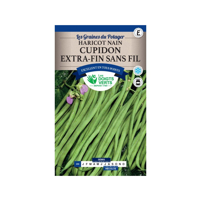 Haricot Nain Cupidon 150g -graines de Les Doigts Verts - graines de Gironde à Bordeaux dans Graines de Haricot
