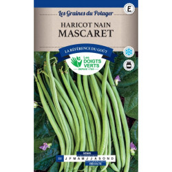 Haricot Nain Mascaret 200G -graines de Les Doigts Verts - graines de Gironde à Bordeaux dans Graines de Haricot