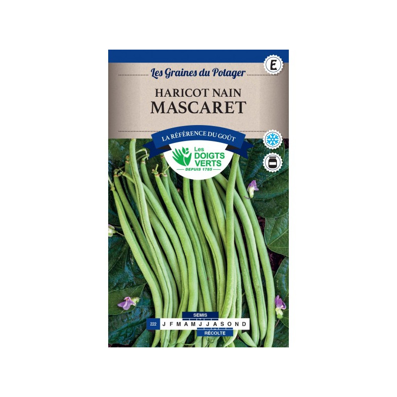 Haricot Nain Mascaret 200G -graines de Les Doigts Verts - graines de Gironde à Bordeaux dans Graines de Haricot
