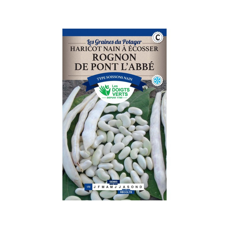 Haricot Nain Rognon De Pont L'Abbe 250g -graines de Les Doigts Verts - graines de Gironde à Bordeaux dans Graines de Haricot