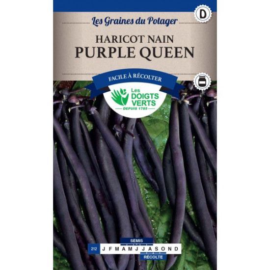 Haricot Nain Purple Queen Mgt 200g -graines de Les Doigts Verts - graines de Gironde à Bordeaux dans Graines de Haricot