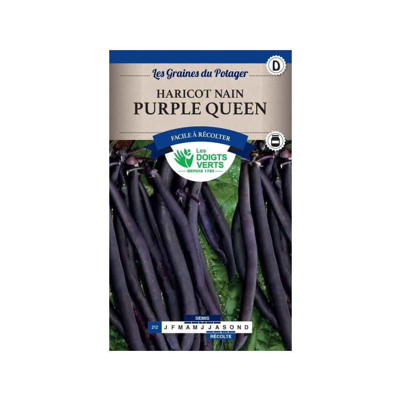Haricot Nain Purple Queen Mgt 200g -graines de Les Doigts Verts - graines de Gironde à Bordeaux dans Graines de Haricot