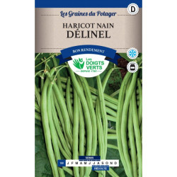 Haricot Nain Delinel Mgt 220g -graines de Les Doigts Verts - graines de Gironde à Bordeaux dans Graines de Haricot