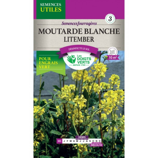 Moutarde Blanche-Gm -graines de Les Doigts Verts - graines de Gironde à Bordeaux dans Graines de fleurs en M