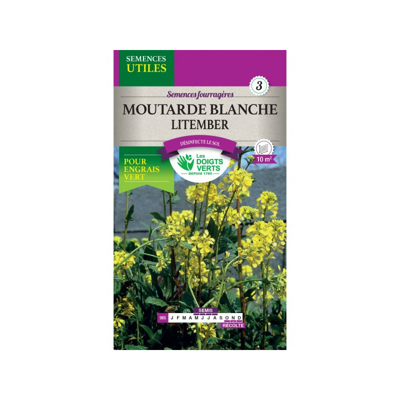 Moutarde Blanche-Gm -graines de Les Doigts Verts - graines de Gironde à Bordeaux dans Graines de fleurs en M