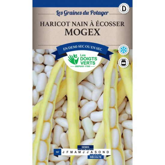 Haricot Nain Mogex 200G -graines de Les Doigts Verts - graines de Gironde à Bordeaux dans Graines de Haricot