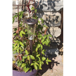 Lampe Lucky 20 Lumens Solaire de Watt & Home - Eclairage solaire de jardin dans Eclairage Solaire de jardin