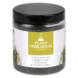 CHARBON ACTIF POUR TERRA de Esschert design - deco maison et jardin dans Bouteille terrarium