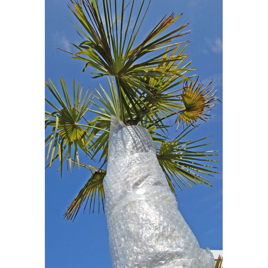 FILM A BULLE PROTECTION 1X5M de Jardinerie Bordeaux Libourne Gironde dans Protection d'Hiver