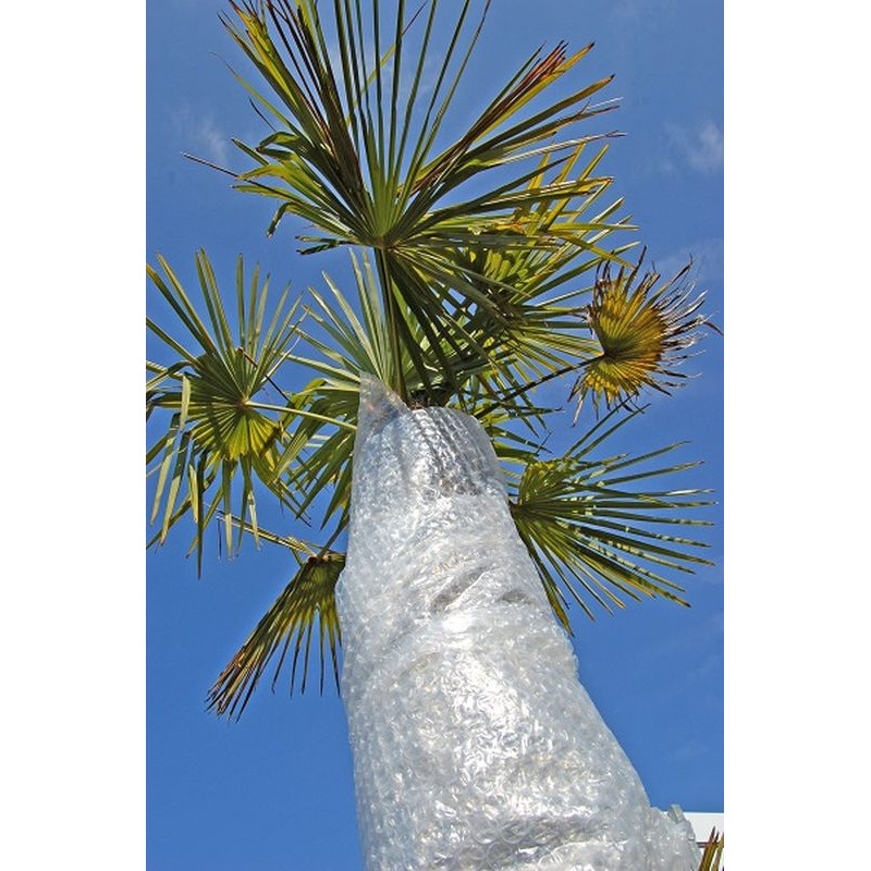 FILM A BULLE PROTECTION 1X5M de Jardinerie Bordeaux Libourne Gironde dans Protection d'Hiver