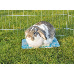 Plateau rafraîchissant cobaye 28x20 bleu de Trixie - Produit pour animaux dans Accessoires pour rongeurs