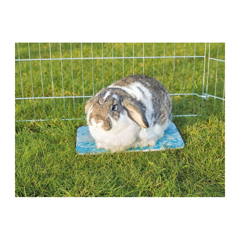 Plateau rafraîchissant cobaye 28x20 bleu de Trixie - Produit pour animaux dans Accessoires pour rongeurs