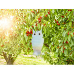 EFFAROUCHEUR A OISEAUX REFLECTEUR de Jardinerie Bordeaux Libourne Gironde dans Accessoires jardin et culture