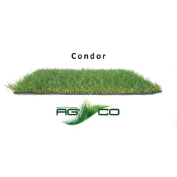 GAZON ARTIFICIEL CONDOR 1*3 de AG'CO - Gazon synthétique dans Gazon synthétique pour le jardin