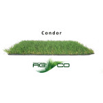 GAZON ARTIFICIEL CONDOR 1*3 de AG'CO - Gazon synthétique dans Gazon synthétique pour le jardin