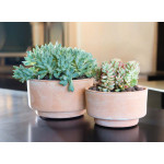 Pot Terrine 18 Cms En Terre Cuite de Goicoechea - POTIER CERAMISTE dans Pots en terre cuite