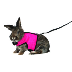 HARNAIS +LAISSE GRAND LAPIN-VENTRAL de Trixie - Produit pour animaux dans Accessoires pour rongeurs