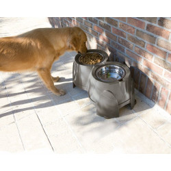Mangeoire ergo feeder double 28cm-2x1500ml de Savic- Produits pour animaux de compagnie dans Gamelles et distributeurs pour c...