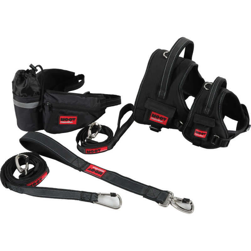 Ceinture Sécurité Chien Voiture - 2Pcs 40cm - Mousqueton Acier - Anti-Mâchage - Tous Chiens