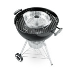 Support poulet inox. Gourmet BBQ de Weber- BBQ à charbon, à gaz et électriques dans Accessoires pour barbecue