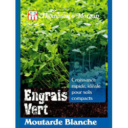 Moutarde Blanche - sachet de graines de Thompson et Morgan - Tout pour le jardin dans Graines de Jachere fleurie