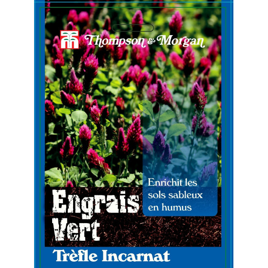 Trèfle Incarnat - sachet de graines de Thompson et Morgan - Tout pour le jardin dans Graines de Jachere fleurie