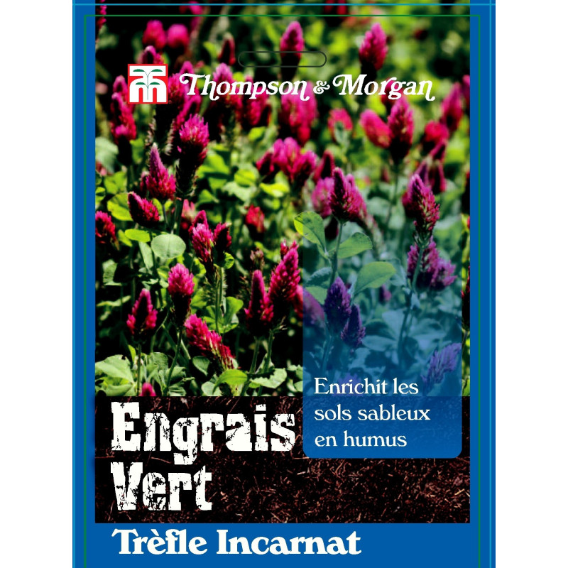 Trèfle Incarnat - sachet de graines de Thompson et Morgan - Tout pour le jardin dans Graines de Jachere fleurie