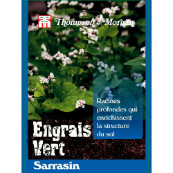 Sarrasin - sachet de graines de Thompson et Morgan - Tout pour le jardin dans Graines de Jachere fleurie