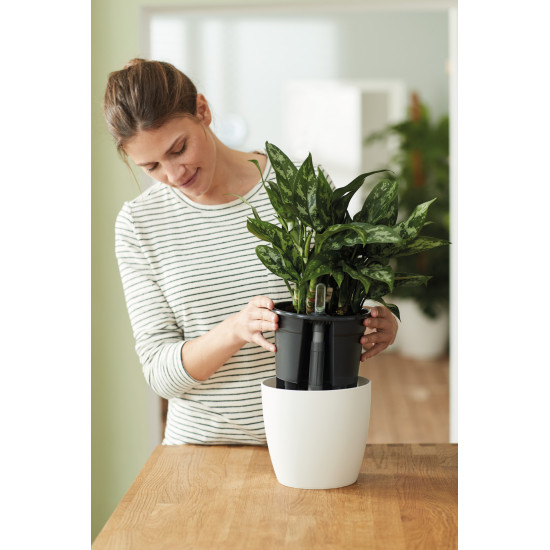 Self-Watering Insert 24Cm Living Noir -Elho de Elho - Pot en plastique de qualité dans Cache-pot et pot déco