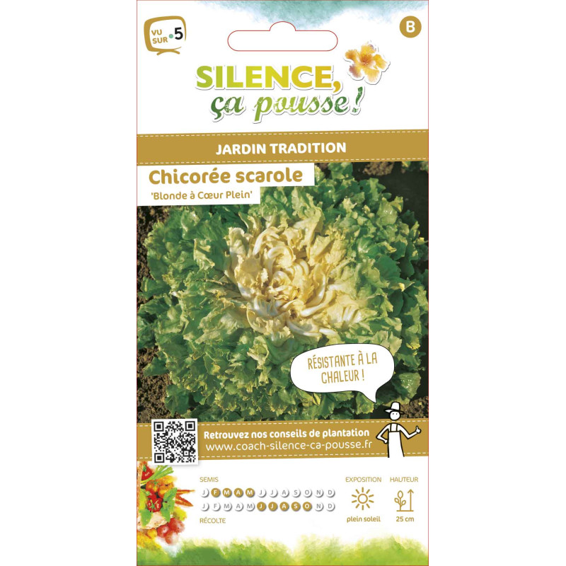 /Chicoree Scarole Blonde À Cœur Plein - Sachet D de Silence ça pousse ! - Graines  dans Graines de Chicoree