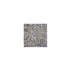 Oignon Snowball Blanc (14/21) 250G à planter de Les Doigts Verts - graines de Gironde à Bordeaux dans Oignon - Ail - echalote...