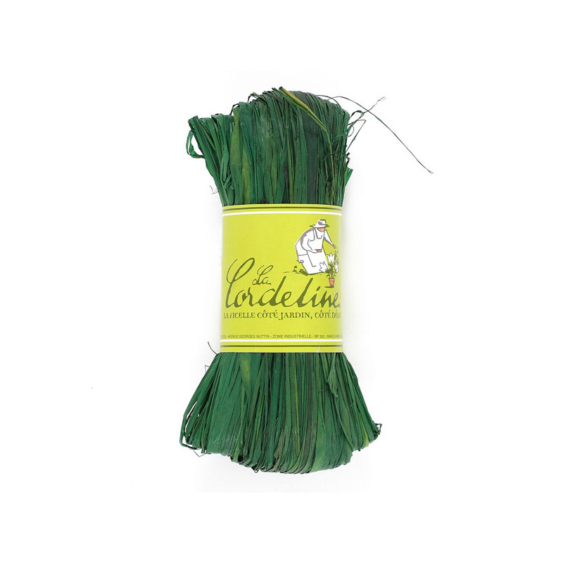 50g Raphia MentheS/Floche de La Cordeline - cordes -ficelles - accessoires pour le jardin dans Accessoires de Culture