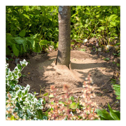 2 Disques Feutre Jute Ø30cm de La Cordeline - cordes -ficelles - accessoires pour le jardin dans Accessoires de Culture