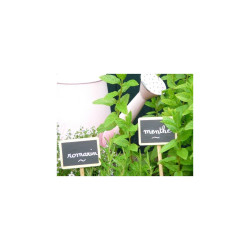 5 etiquette A Planter H27.5cm/7X5cm de La Cordeline - cordes -ficelles - accessoires pour le jardin dans Accessoires de Culture