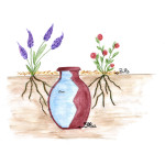 OLLAS ORIGIN O3 - 3L JAMET de Jardinerie Bordeaux Libourne Gironde dans Arrosage ancestrale - Ollas