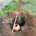 OLLAS ORIGIN O5 - 9L JAMET de Jardinerie Bordeaux Libourne Gironde dans Arrosage ancestrale - Ollas