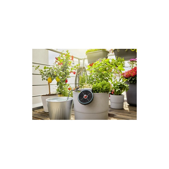 ARROSAGE AUTO SOLAIRE AQUABLOOM GARDENA de Gardena - Arrosage goutte à goutte - Outillages  dans Goutte à goutte pour le jardin