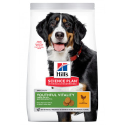 chien Mature 5+ Youthful Large Poulet 12k - Hill de Hill's - croquette pour chien et chat dans Hill's pour chiens