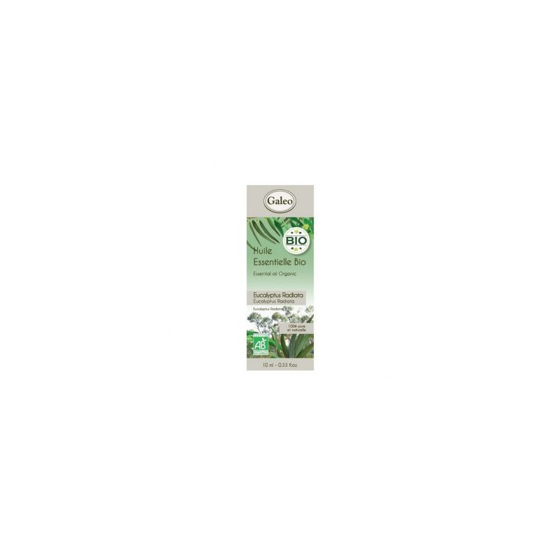 Huile Essentielle Bio Eucalyptus Radiata 10Ml de Galeo- Parfums-Savons-aromathérapie dans Produits parfumés, huile essentiell...