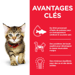 Chat Kitten Poulet 3kg - Hill's de Hill's - croquette pour chien et chat dans Croquettes pour chats
