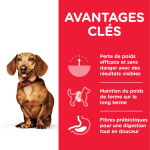 chien Adult Perfect Weight Small Poulet 1.5k - H de Hill's - croquette pour chien et chat dans Hill's pour chiens
