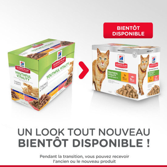 Chat YV Multipack 12x85g de Hill's - croquette pour chien et chat dans Patees pour chats