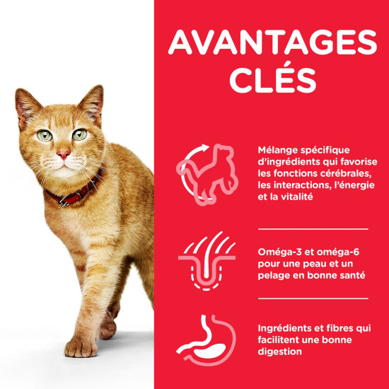 Chat YV Multipack 12x85g de Hill's - croquette pour chien et chat dans Patees pour chats