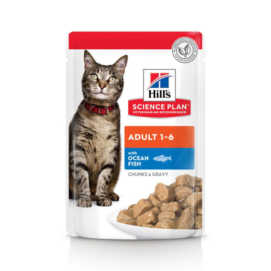 Chat Multipack 3s 12x85g de Hill's - croquette pour chien et chat dans Patees pour chats